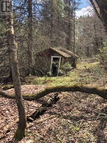 2595 ETWELL ROAD Image 2