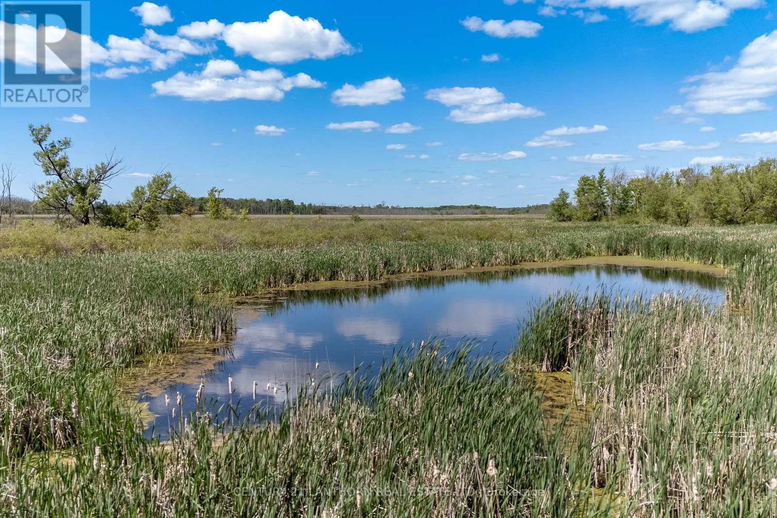 4757 COUNTY ROAD 8 Image 18