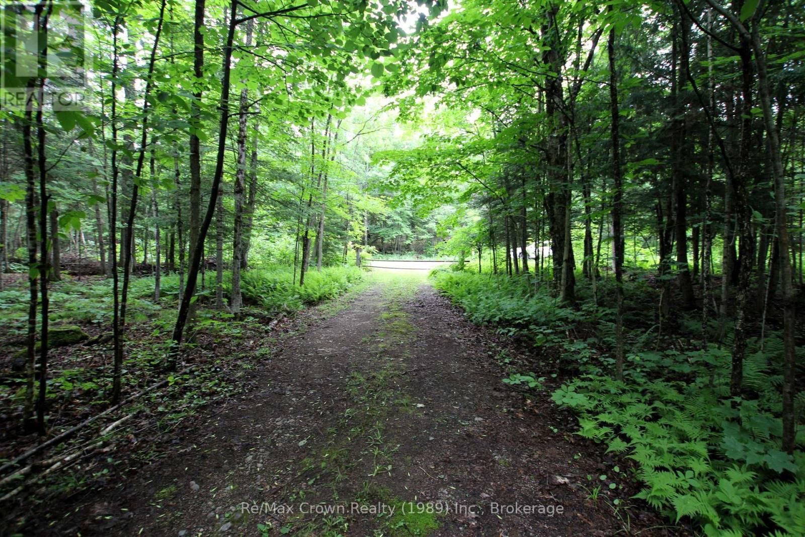 0 PILGERS ROAD Image 7