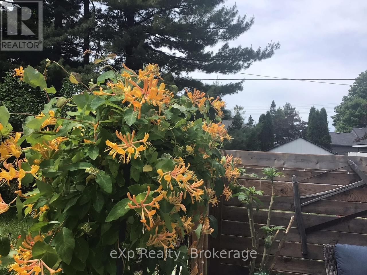 11 ELIZABETH STREET Image 37