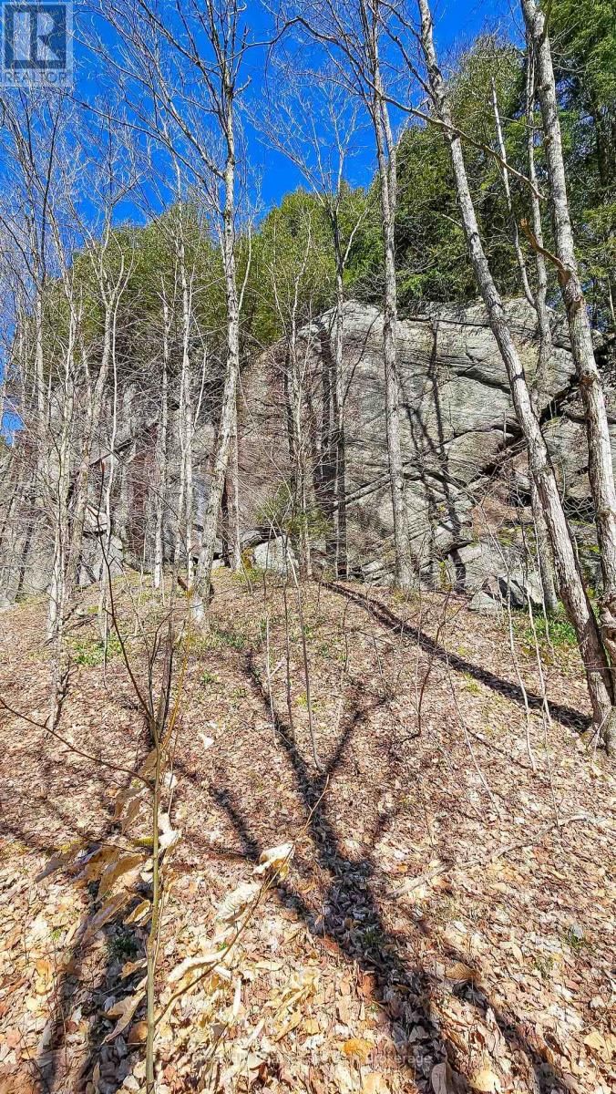 115 LONGS LAKE ROAD Image 10