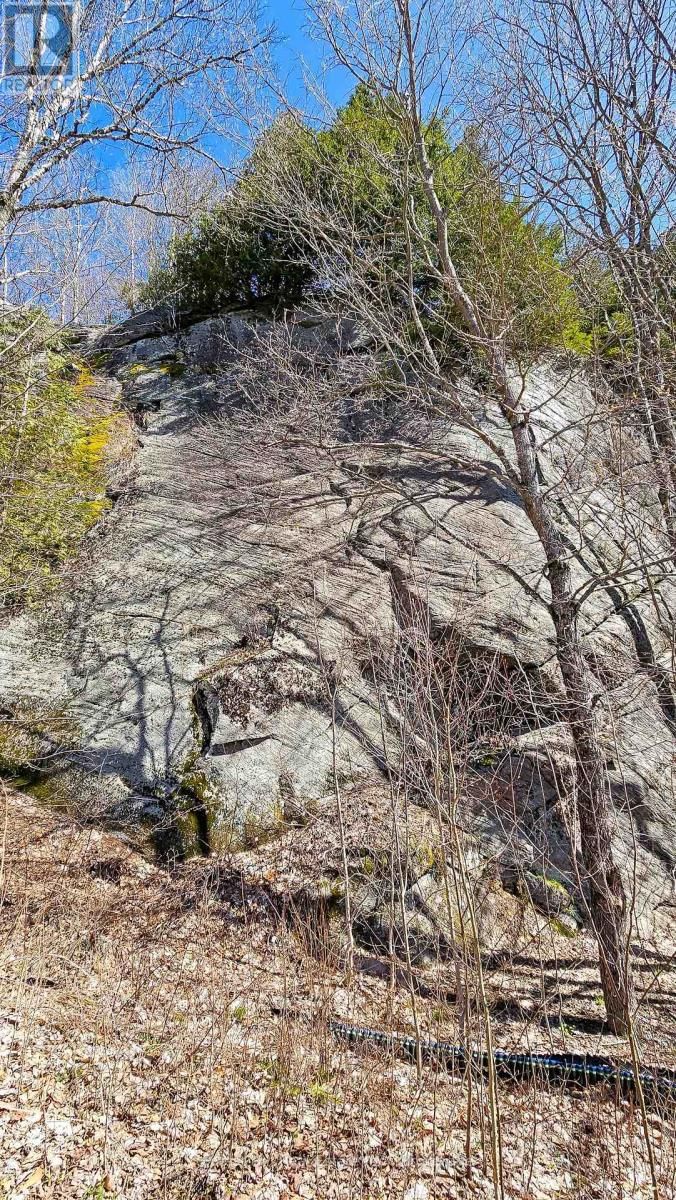 115 LONGS LAKE ROAD Image 2