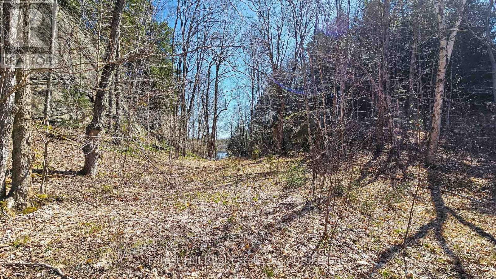 115 LONGS LAKE ROAD Image 3
