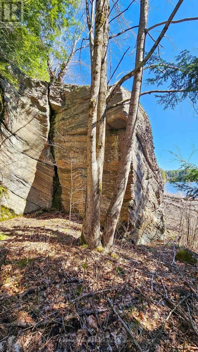 115 LONGS LAKE ROAD Image 4