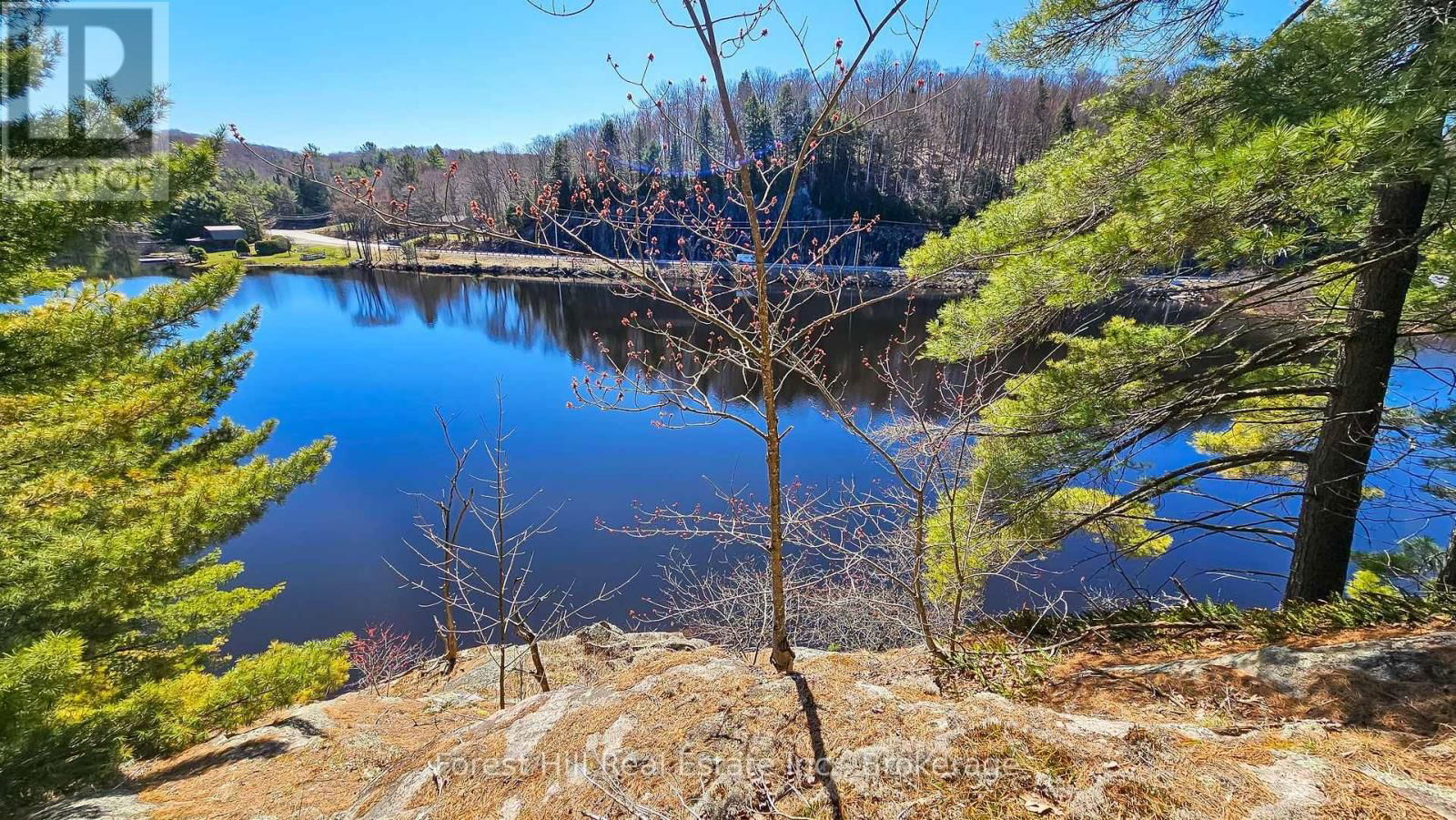 115 LONGS LAKE ROAD Image 8