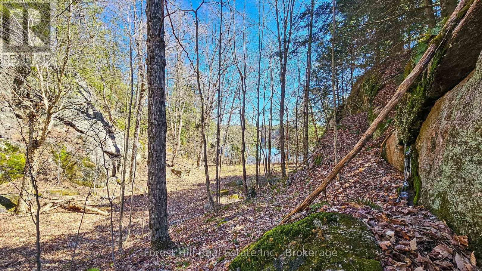 115 LONGS LAKE ROAD Image 9