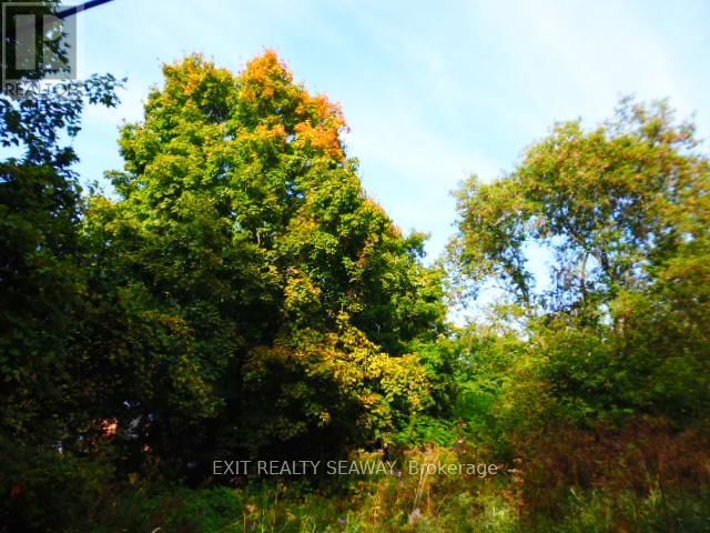 Tertiary Property View