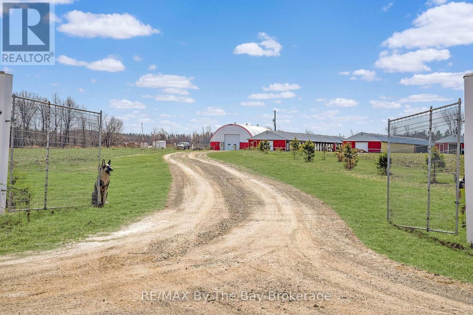 828482 MULMUR NOTTAWASAGA T LINE Image 5