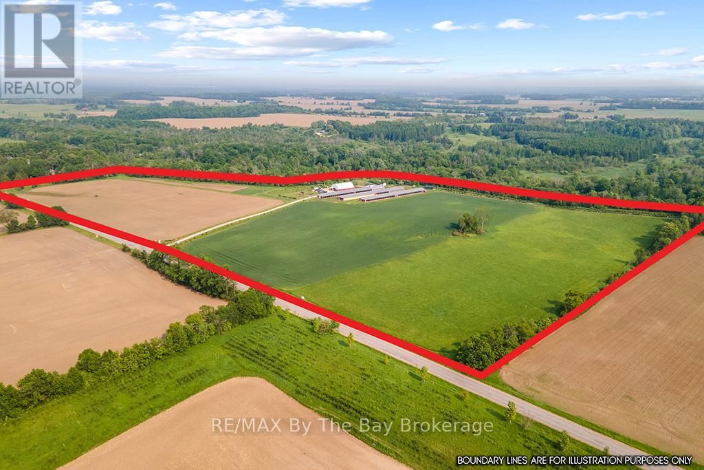 Primary Property View