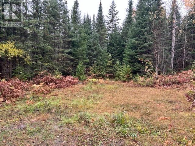 Lot 2 - N/A HADLINGTON ROAD Image 6
