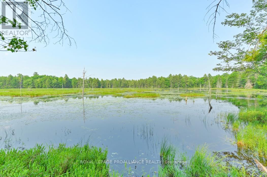 1971 GULL LAKE ESTATES LANE Image 17