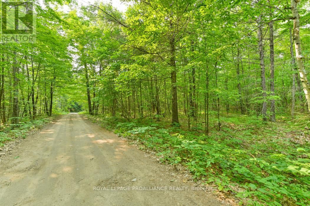 1971 GULL LAKE ESTATES LANE Image 29