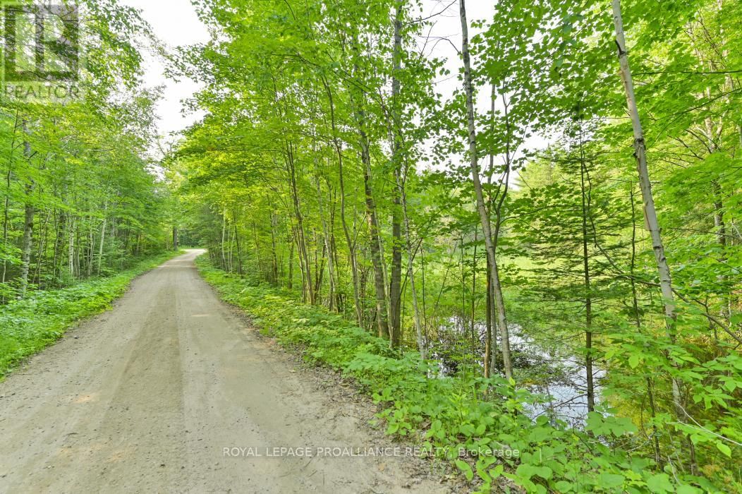 1971 GULL LAKE ESTATES LANE Image 32