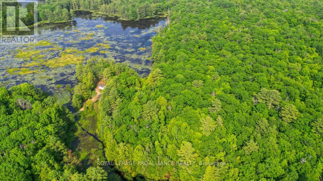 1971 GULL LAKE ESTATES LANE Image 37