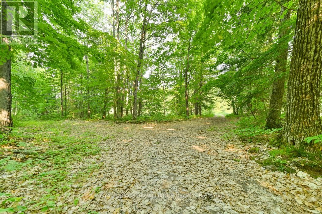 1971 GULL LAKE ESTATES LANE Image 4