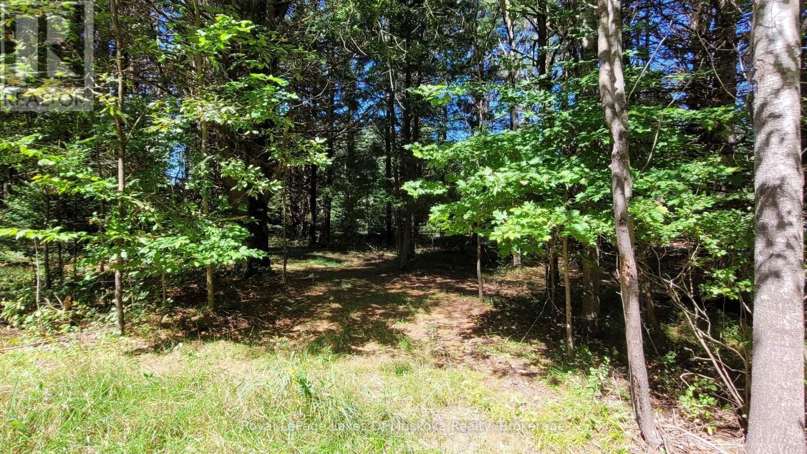 1059 ABLETT COURT Image 2
