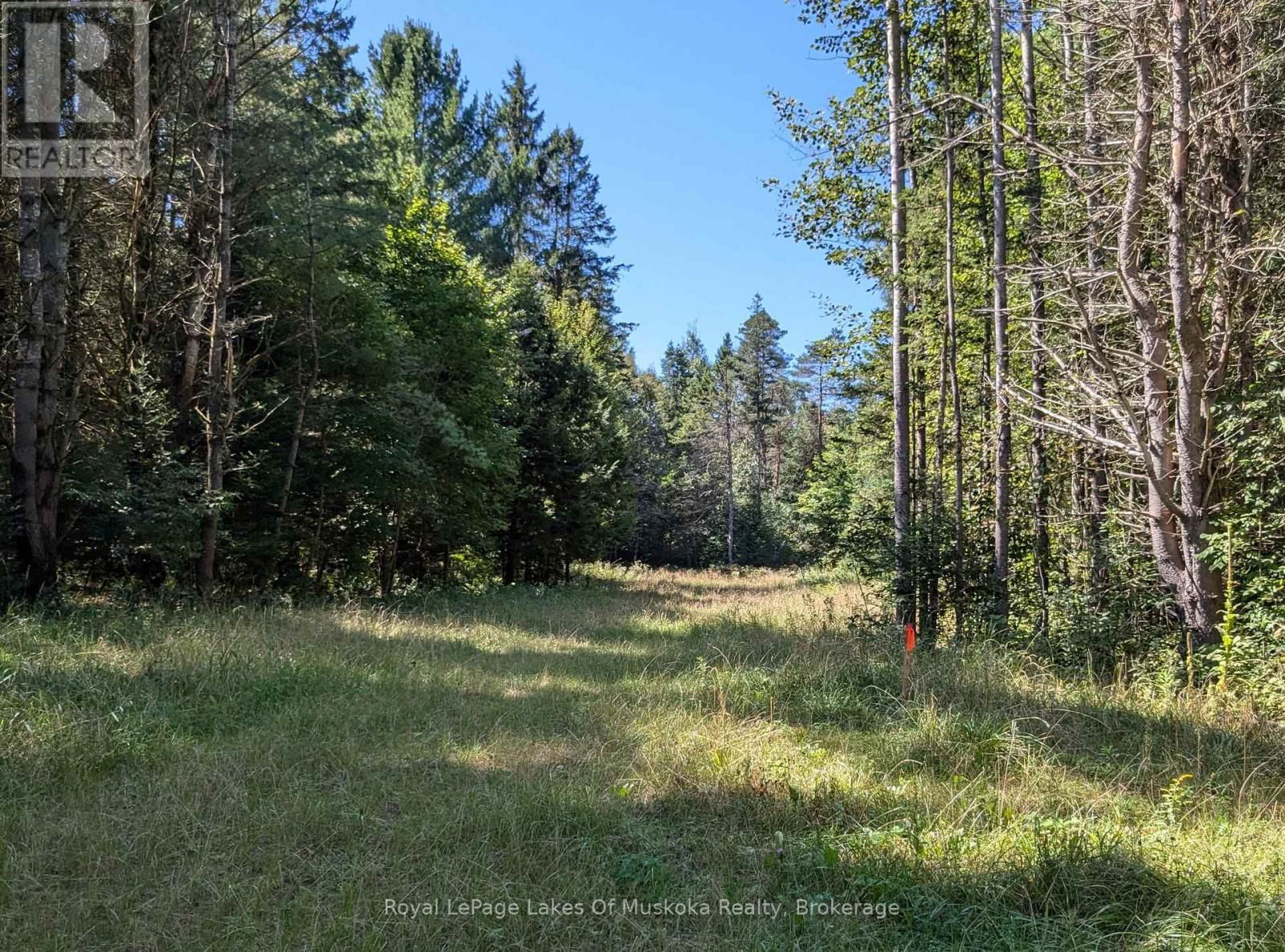 1059 ABLETT COURT Image 9