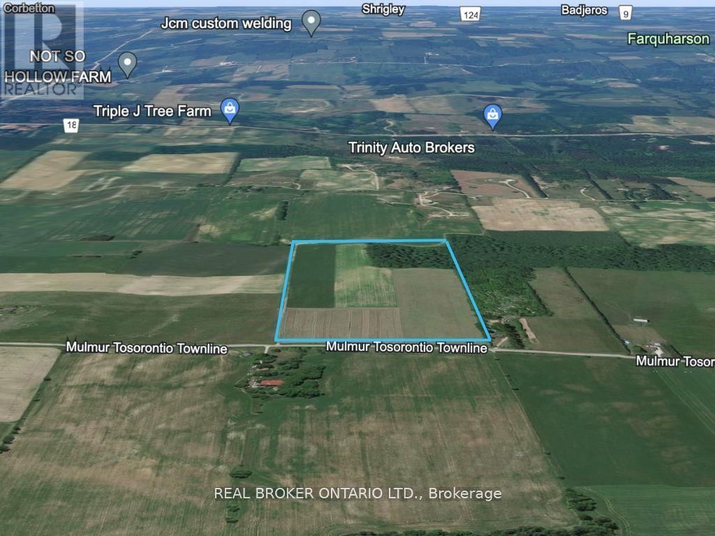 99839 TOWN LINE ROAD E Image 3