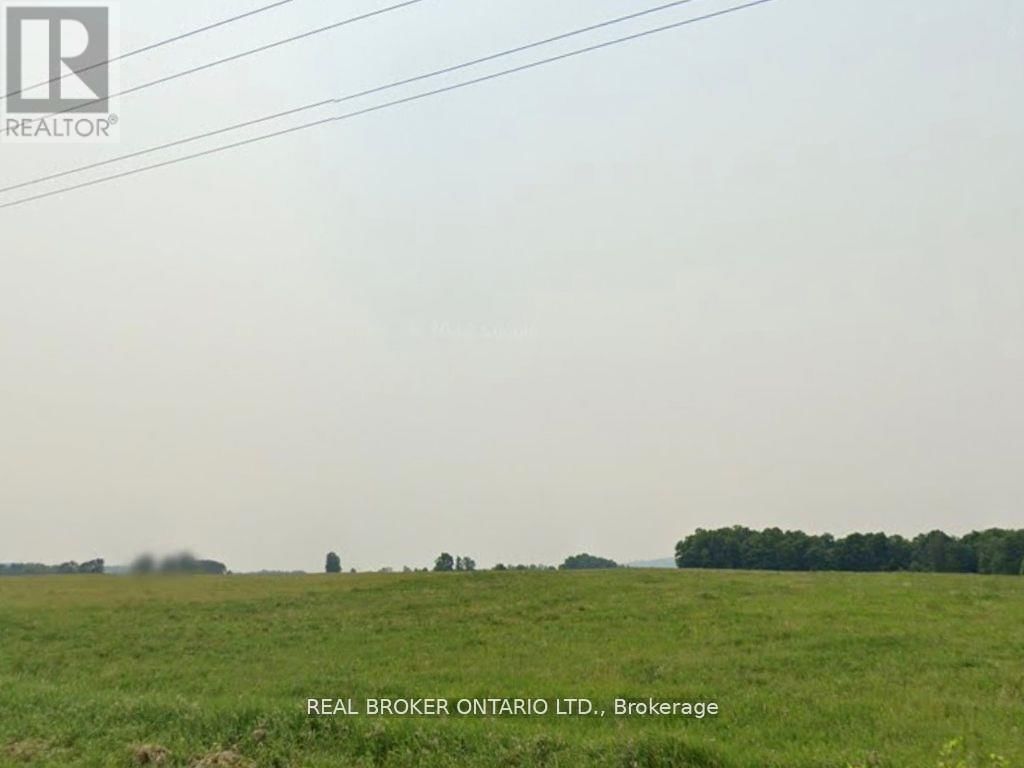 99839 TOWN LINE ROAD E Image 5