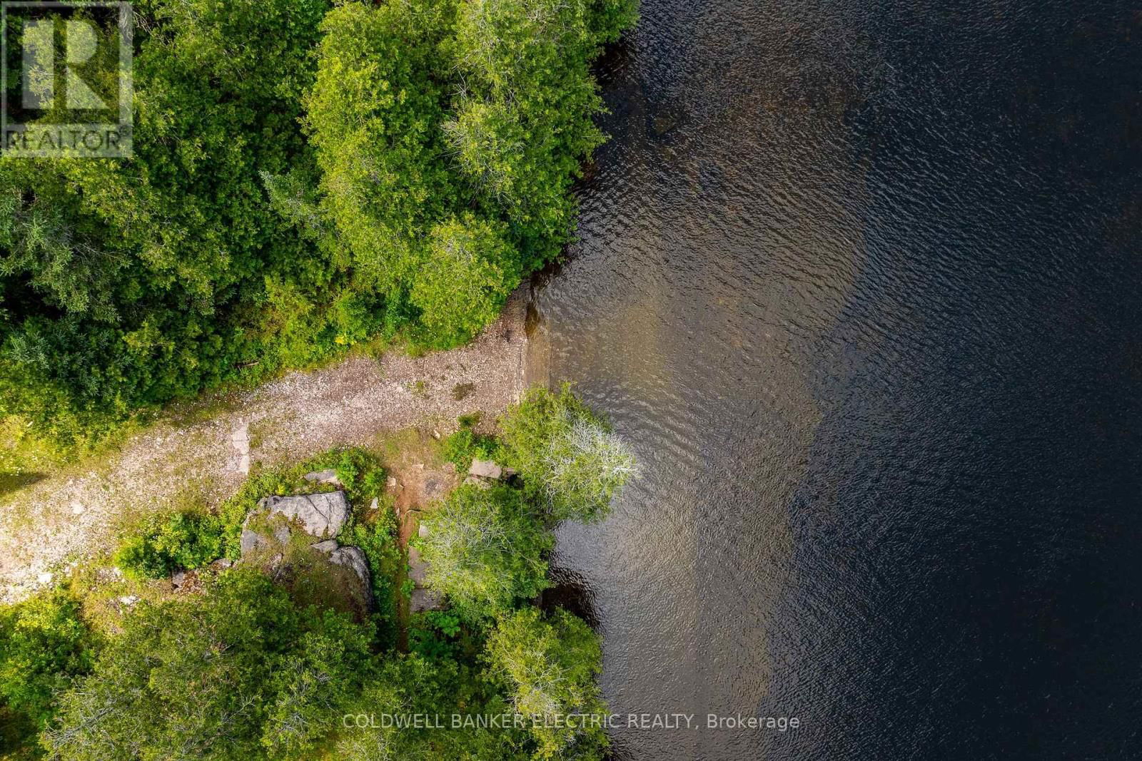 50 MAPLE ROAD Image 30