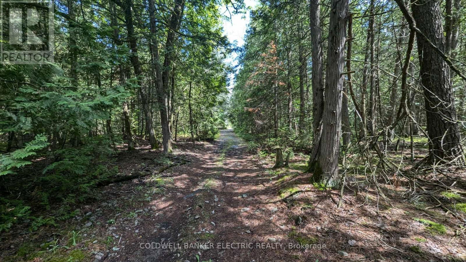 50 MAPLE ROAD Image 32