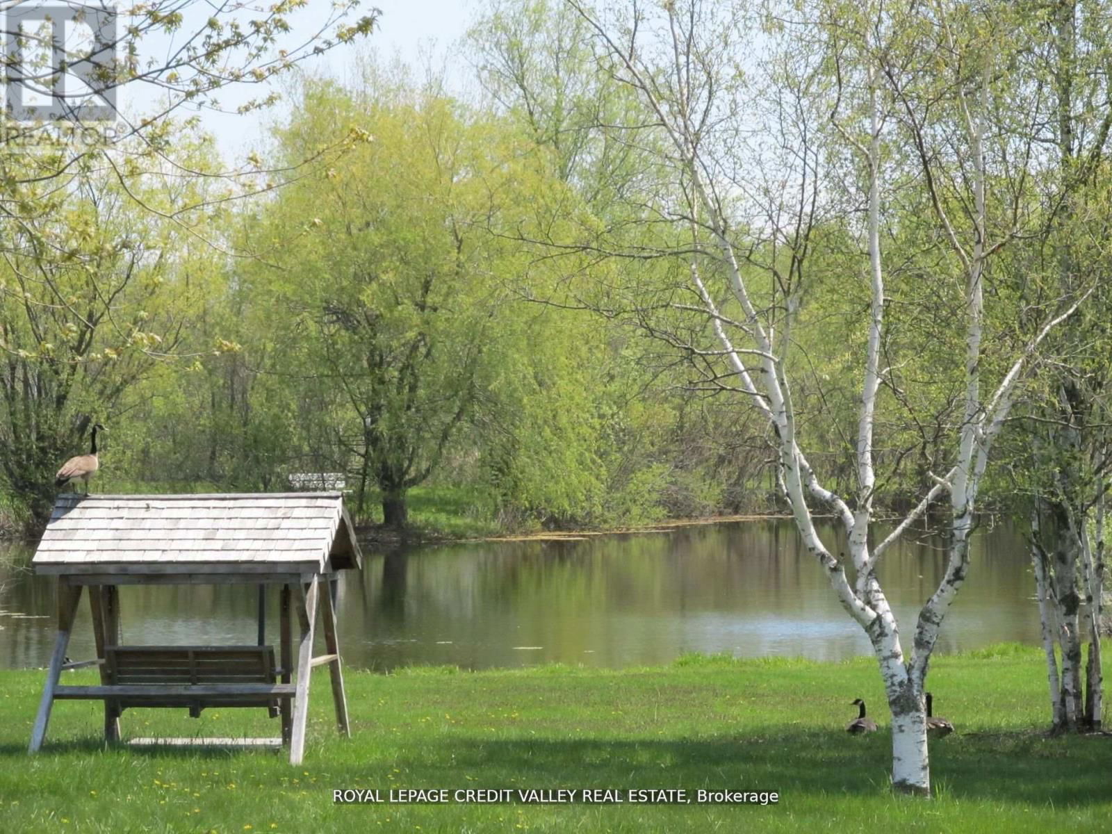 476345 3RD LINE Image 13