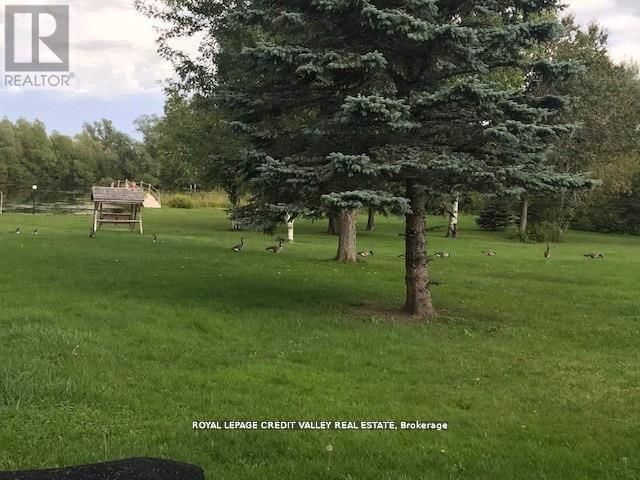 476345 3RD LINE Image 21