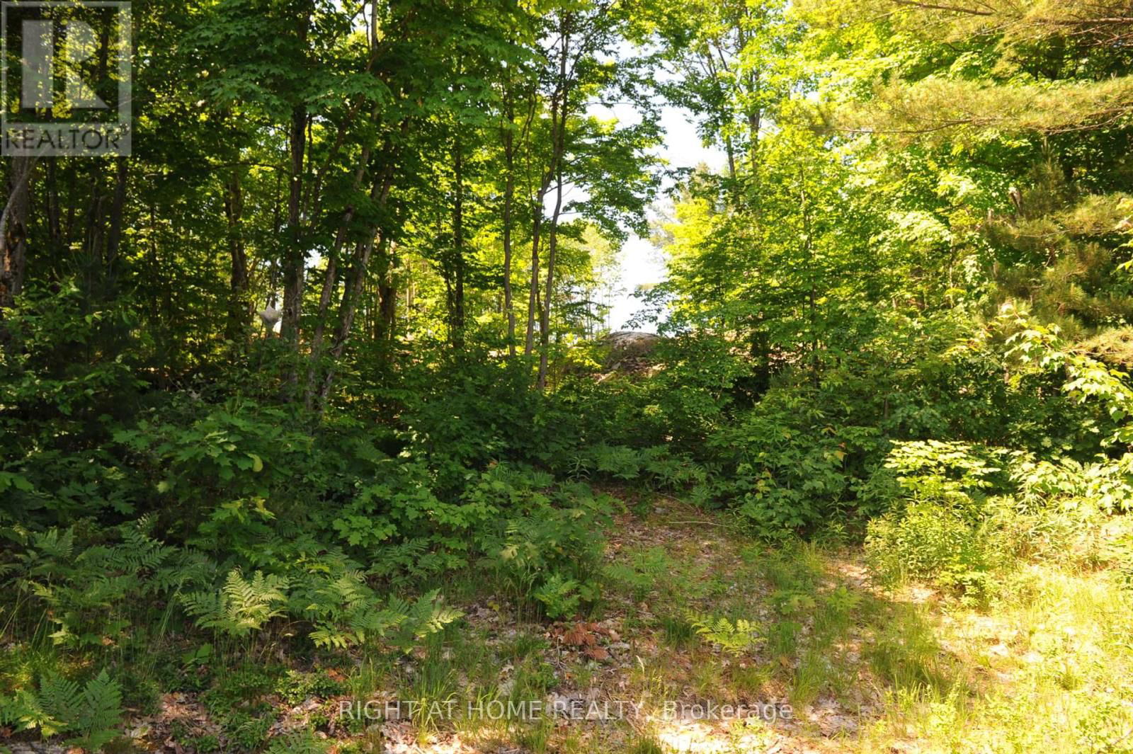 22 HAWKINS POINT Image 22