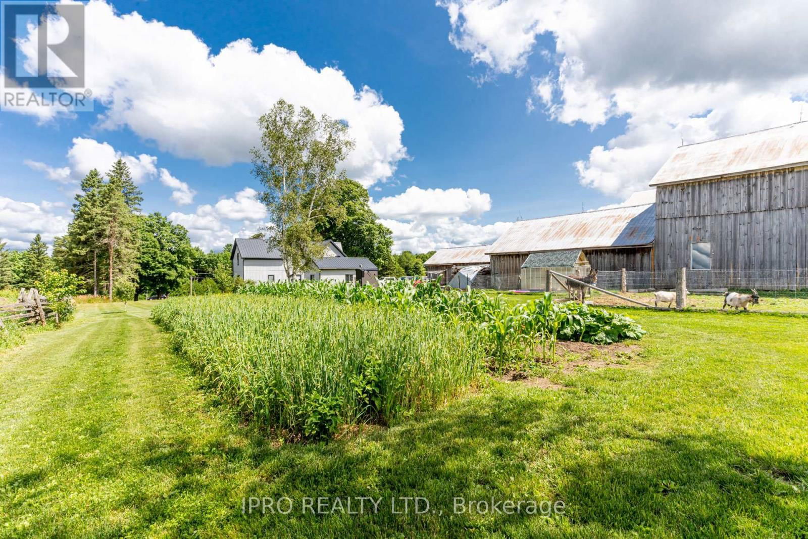 403428 GREY RD 4 ROAD Image 25