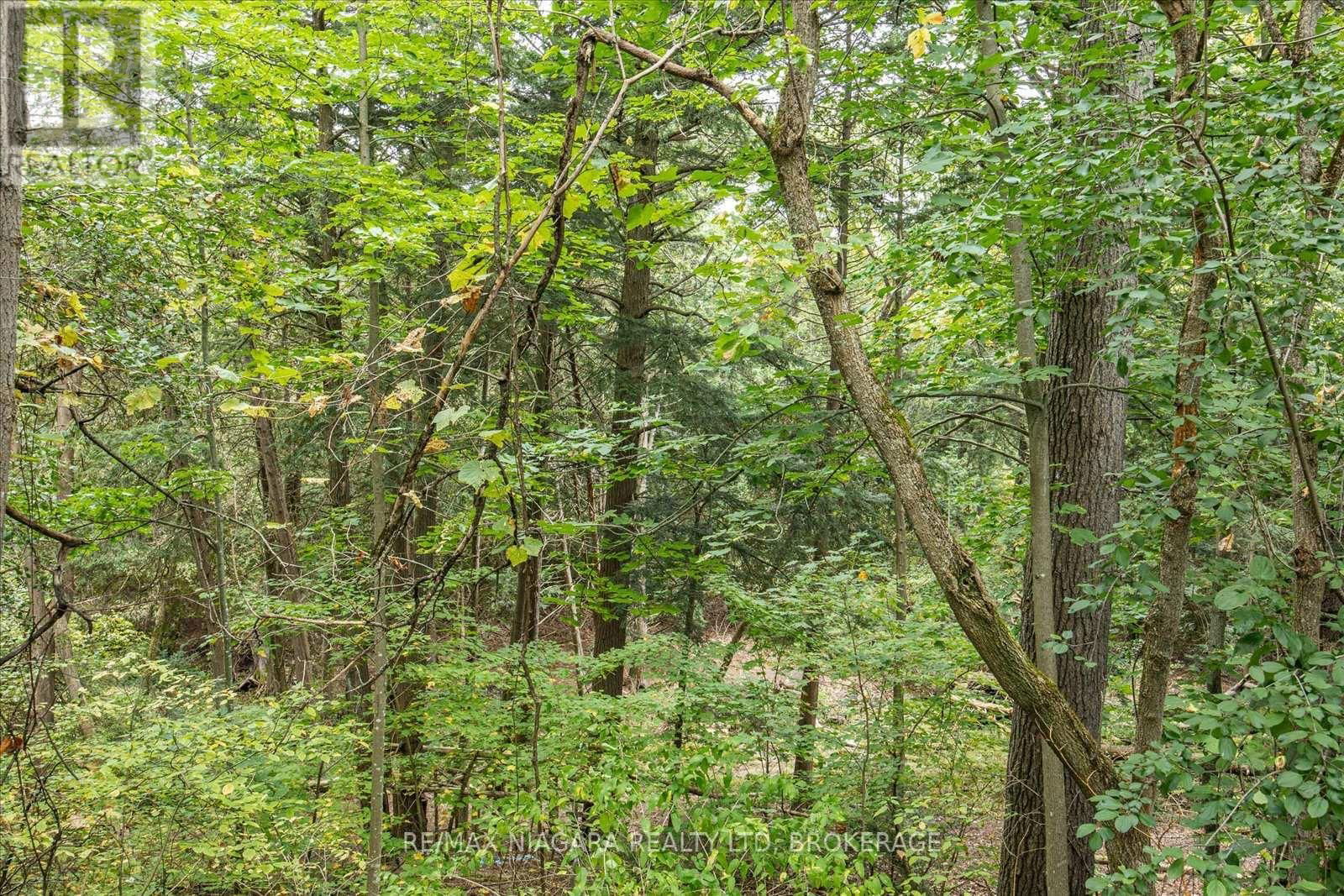 4581 COUNTY RD 45 ROAD Image 39