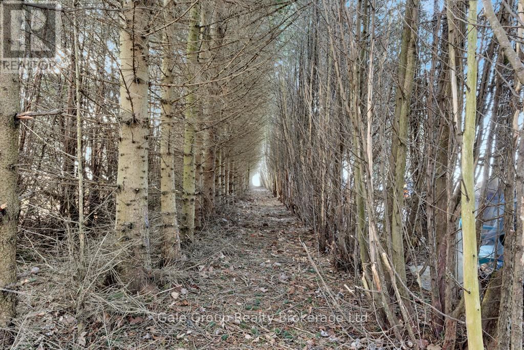 7150 TALBOT TRAIL Image 3