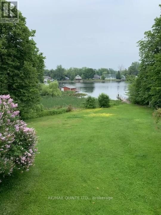 Tertiary Property View
