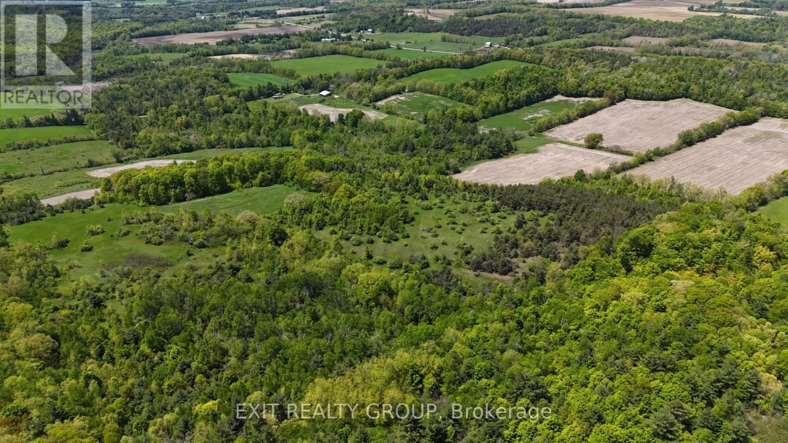 225 JONES ROAD Image 10