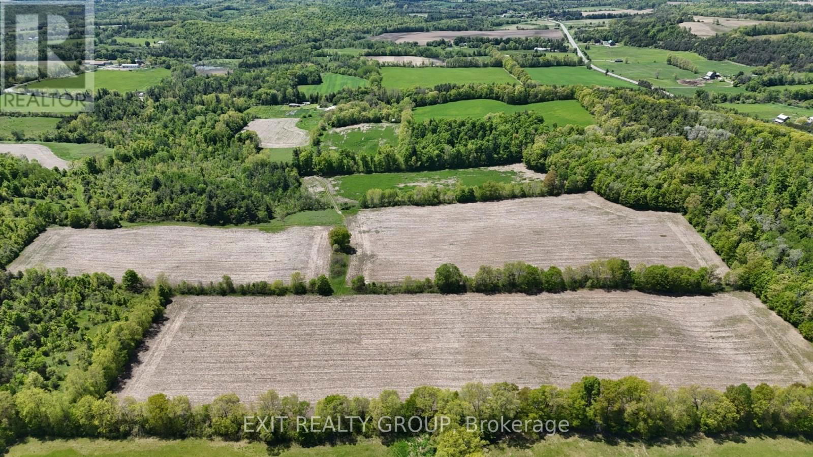 225 JONES ROAD Image 12