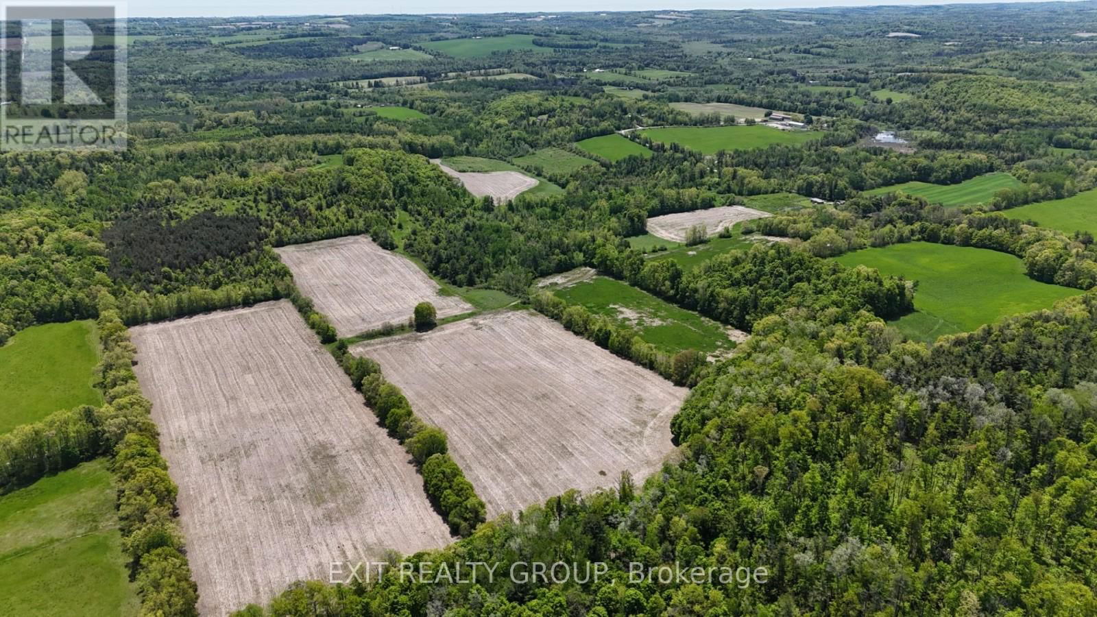 225 JONES ROAD Image 13