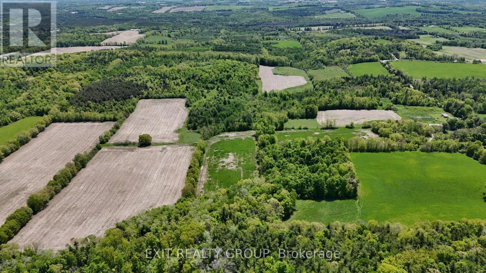 225 JONES ROAD Image 14
