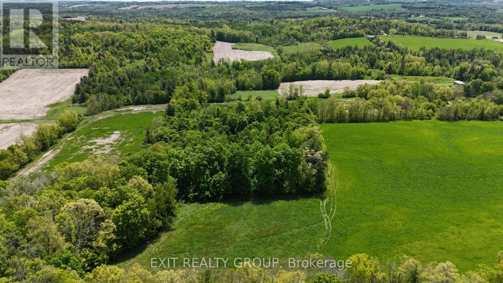 225 JONES ROAD Image 17