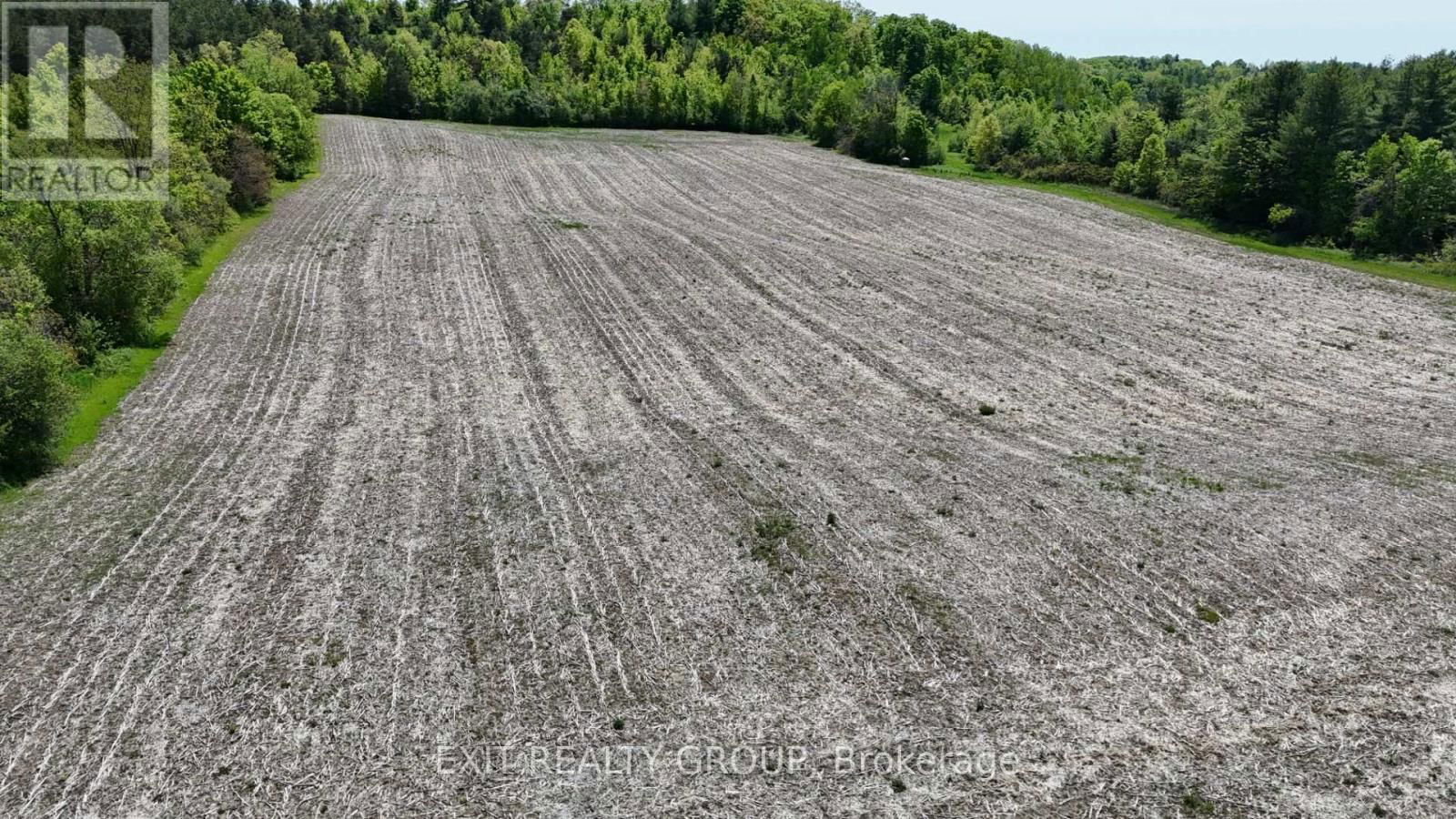 225 JONES ROAD Image 19