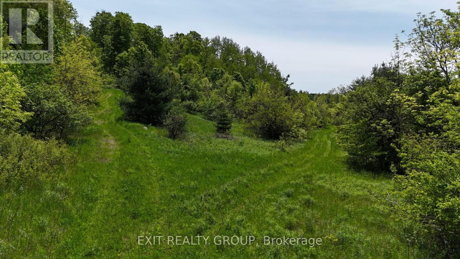 225 JONES ROAD Image 20