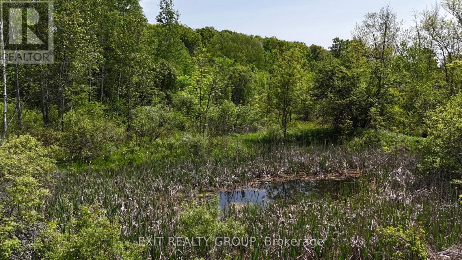 225 JONES ROAD Image 21
