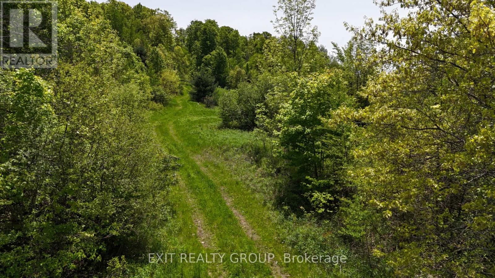 225 JONES ROAD Image 25
