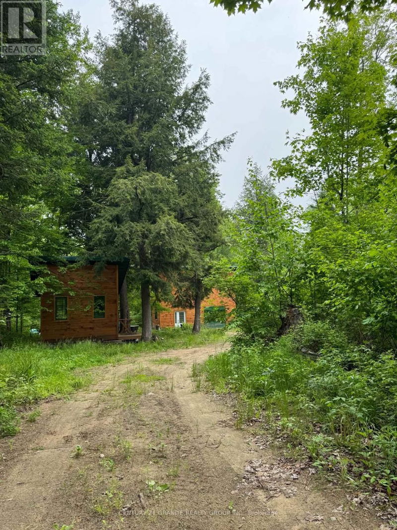 Tertiary Property View