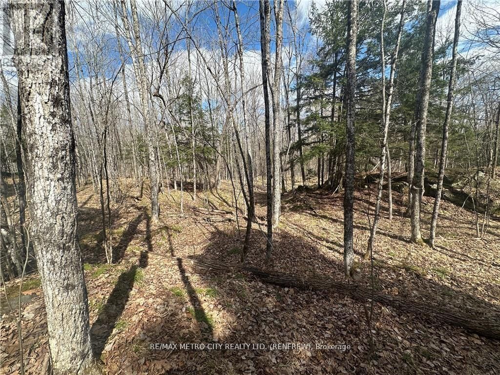 00 CALABOGIE ROAD Image 10