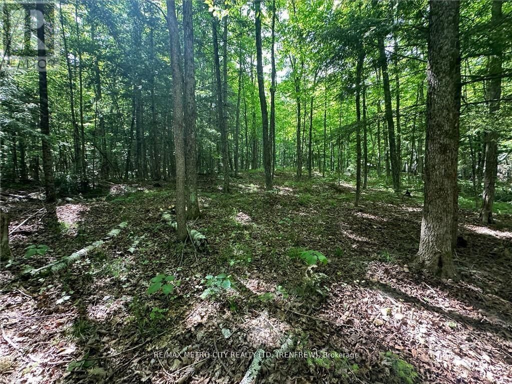 00 CALABOGIE ROAD Image 11