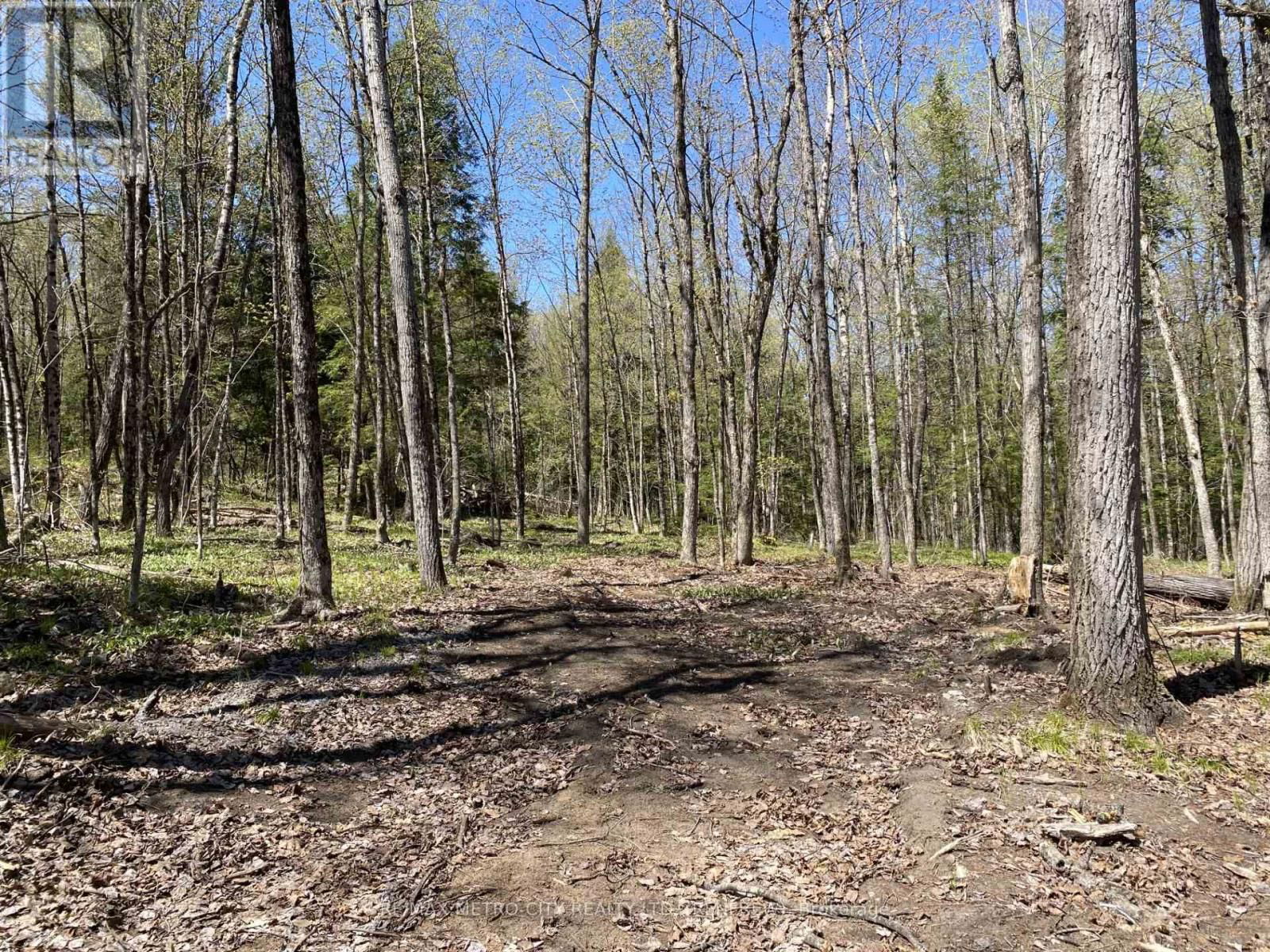 00 CALABOGIE ROAD Image 4