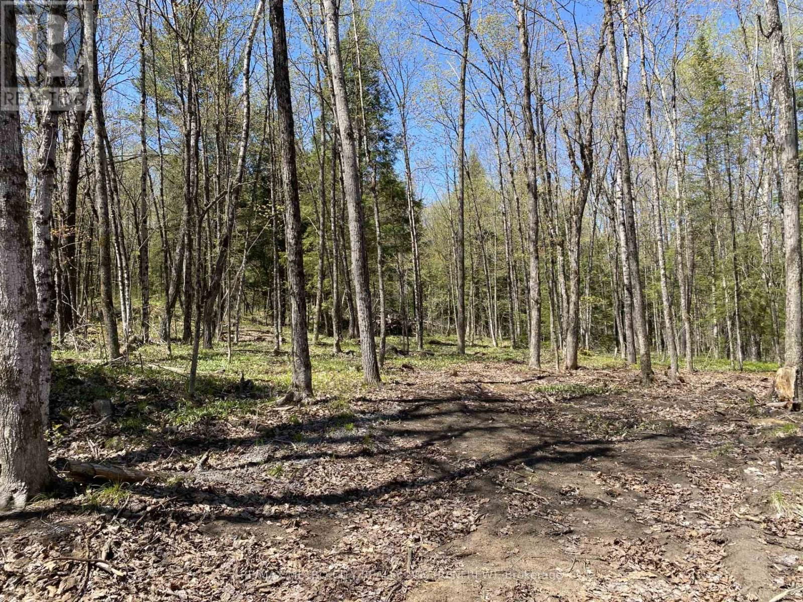 00 CALABOGIE ROAD Image 6