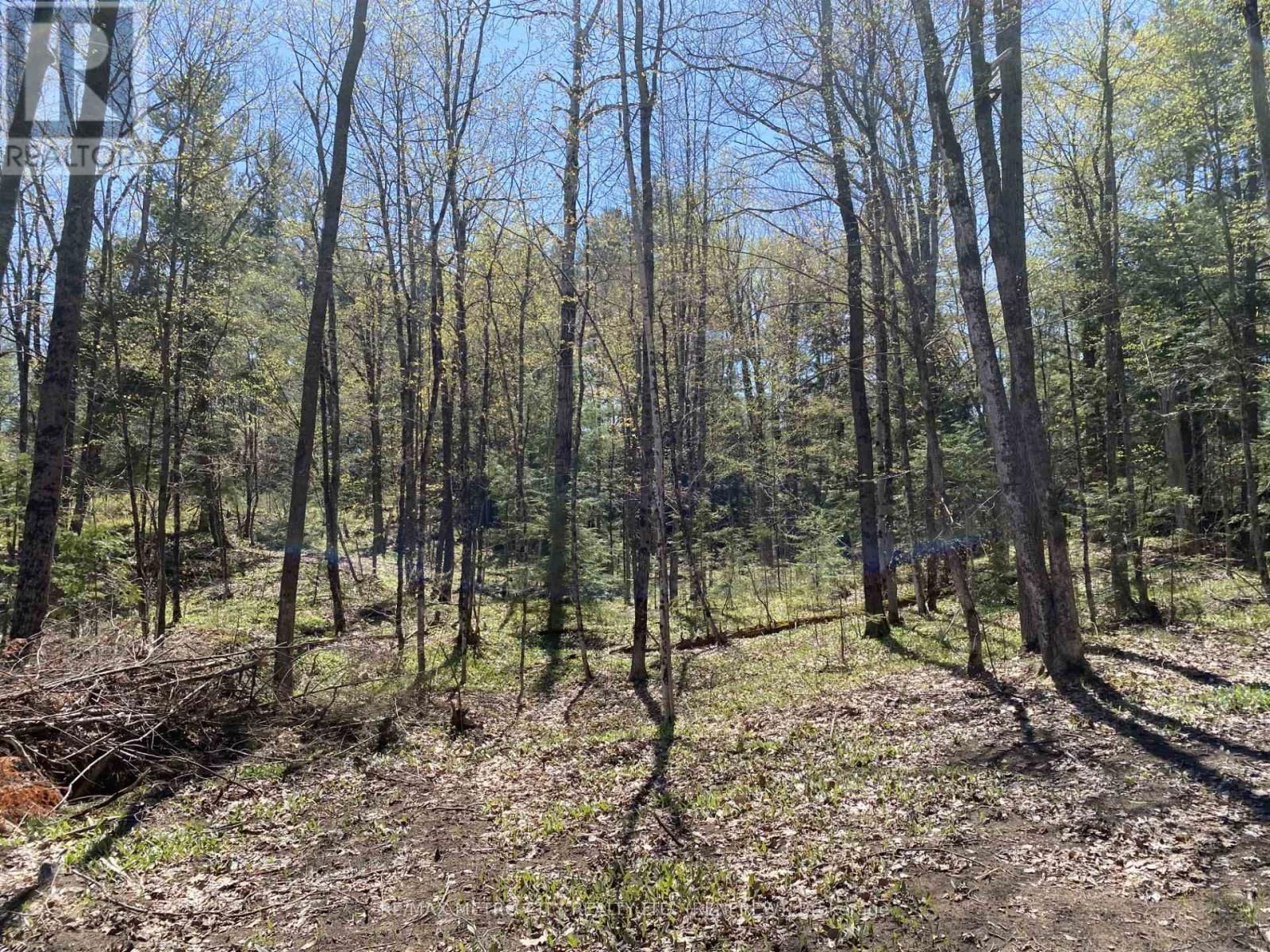 00 CALABOGIE ROAD Image 7