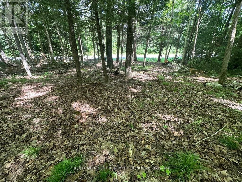 00 CALABOGIE ROAD Image 8