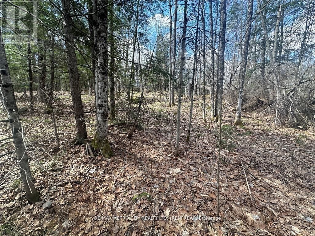 00 CALABOGIE ROAD Image 9