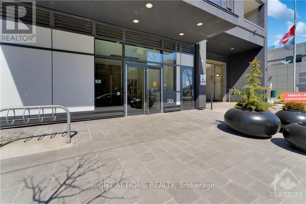509 - 203 CATHERINE STREET Image 3